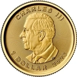 KANADYJSKI LIŚĆ KLONOWY 1/20 oz
