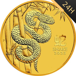 LUNAR III: ROK WĘŻA 1/10 oz 2025 24H