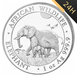 SREBRNA MONETA AFRICAN WILDLIFE SŁOŃ SOMALIJSKI LOSOWY ROCZNIK 1 oz 24H VM